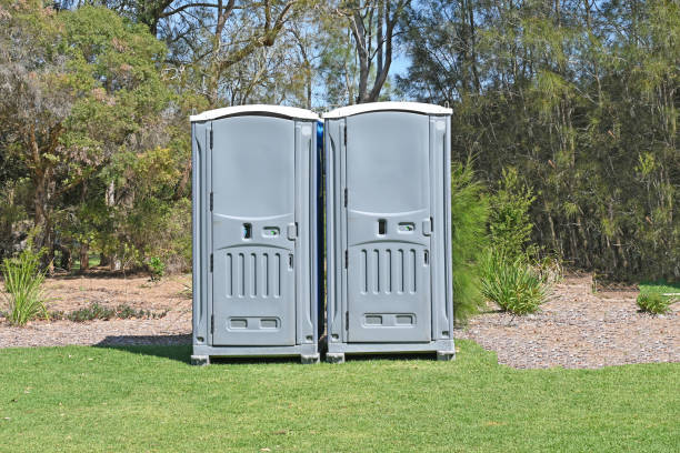 Lawn Drainage Solutions in Rutherford, TN